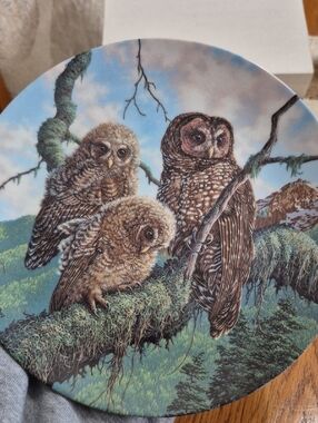 Knowles China Collectible Plate "Woodland Watch: Spotted Owls" Plate #1343B